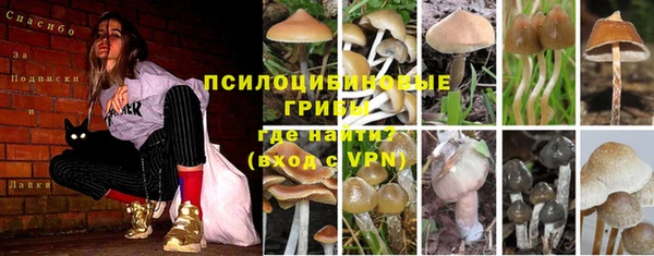 трава Богородицк