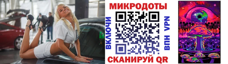 где купить наркоту  Высоковск  Галлюциногенные грибы GOLDEN TEACHER 